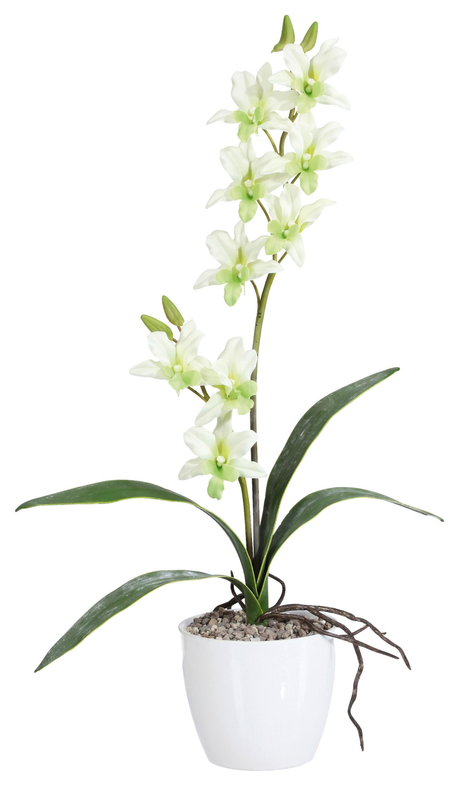 Kunstpflanze Orchideen Hellgrün, Topf: Weiß, H: 60 cm - Weiß/Hellgrün, Design, Keramik/Kunststoff (60cm) - P & B