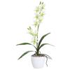 Kunstpflanze Orchideen Hellgrün, Topf: Weiß, H: 60 cm - Weiß/Hellgrün, Design, Keramik/Kunststoff (60cm) - P & B