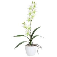 Kunstpflanze Orchideen Hellgrün, Topf: Weiß, H: 60 cm - Weiß/Hellgrün, Design, Keramik/Kunststoff (60cm) - P & B