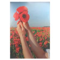 Cliprahmen Clemens - Transparent, KONVENTIONELL, Papier/Holzwerkstoff (70/100cm) - Luca Bessoni