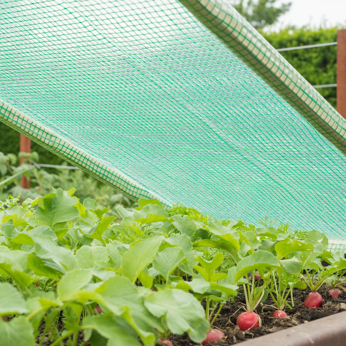 Abdeckfolie Strong Grün Kunststoff - Grün, Basics, Kunststoff (150/500cm)